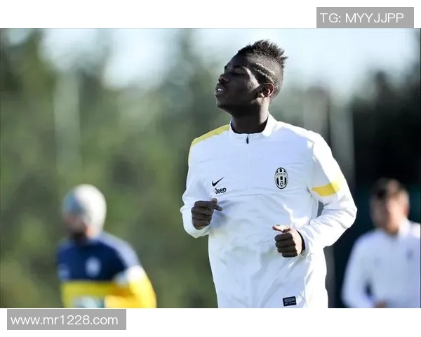 足球明星博格巴的传奇之路与挂画艺术的完美结合